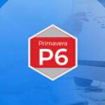 Primavera P6 and Microsoft Project
